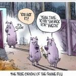 Swine Flu